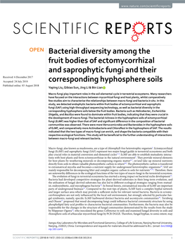 Bacterial Diversity Among the Fruit Bodies of Ectomycorrhizal And