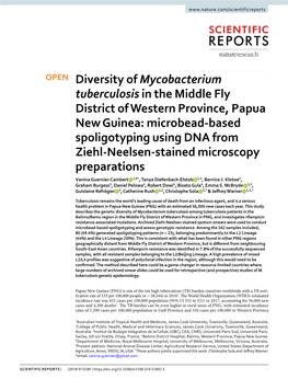 Diversity of Mycobacterium Tuberculosis in the Middle Fly