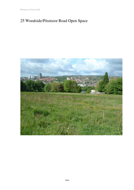 25 Woodside/Pitsmoor Road Open Space