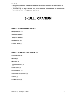 Skull / Cranium