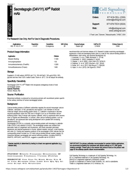 14037 Secretagogin (D4V1Y) XP® Rabbit Mab