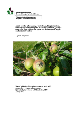 Apple Sawfly (Hoplocampa Testudinea, Klug) Situation
