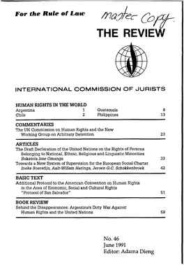 ICJ Review-46-1991-Eng