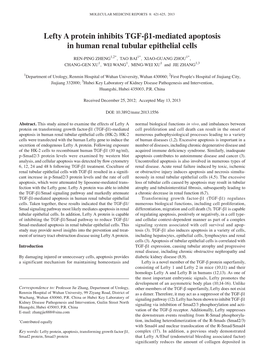 Lefty a Protein Inhibits TGF-Β1-Mediated Apoptosis in Human Renal Tubular Epithelial Cells