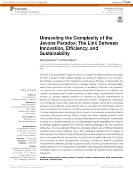Unraveling the Complexity of the Jevons Paradox: the Link Between Innovation, Efﬁciency, and Sustainability