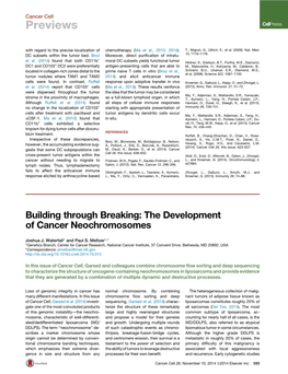 The Development of Cancer Neochromosomes