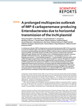 A Prolonged Multispecies Outbreak of IMP-6 Carbapenemase-Producing