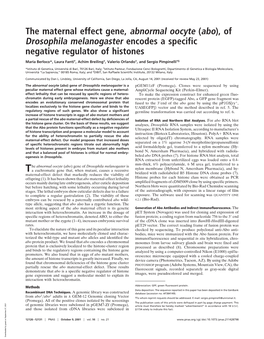 The Maternal Effect Gene, Abnormal Oocyte (Abo), of Drosophila Melanogaster Encodes a Specific Negative Regulator of Histones