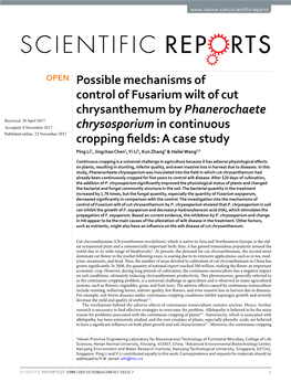 Possible Mechanisms of Control of Fusarium Wilt of Cut Chrysanthemum