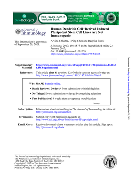 Human Dendritic Cell–Derived Induced Pluripotent Stem Cell Lines Are Not Immunogenic