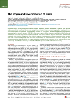 The Origin and Diversification of Birds