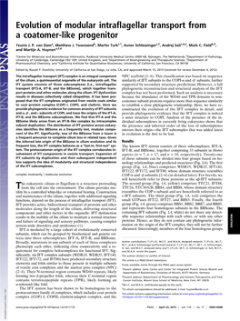 Evolution of Modular Intraflagellar Transport from a Coatomer-Like