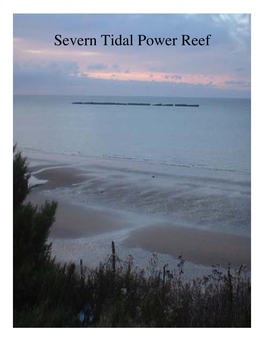 Severn Tidal Power Reef