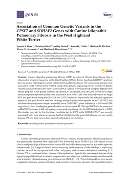 Association of Common Genetic Variants in the CPSF7 and SDHAF2 Genes with Canine Idiopathic Pulmonary Fibrosis in the West Highland White Terrier