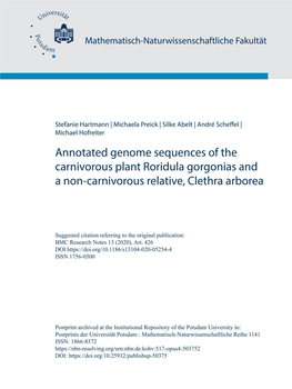 Roridula Gorgonias and a Non-Carnivorous Relative, Clethra Arborea