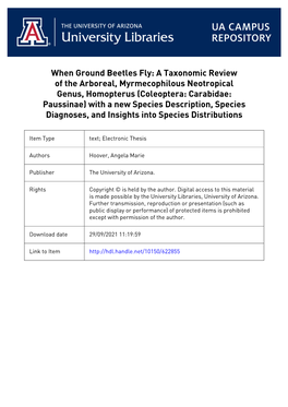 When Ground Beetles Fly: a Taxonomic
