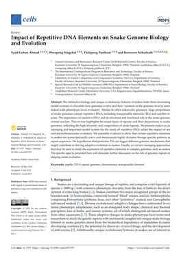 Impact of Repetitive DNA Elements on Snake Genome Biology and Evolution