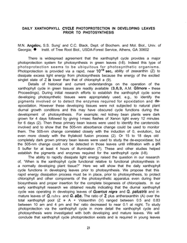 DAILY XANTHOPHYLL .CYCLE PHOTOPROTECTION in DEVELOPING LEAVES PRIOR to PHOTOSYNTHESIS MN Angelov, SS Sung' and CC Black