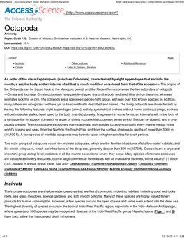 Incirrata Other Features Additional Readings Cirrata Links to Primary Literature