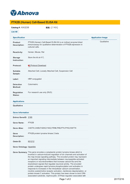 PTK2B (Human) Cell-Based ELISA Kit