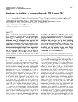 Studies on the Inhibition of Endosome Fusion by Gtpγs-Bound ARF