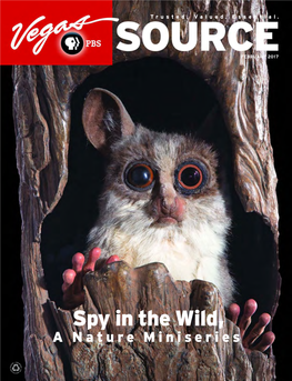 Spy in the Wild, a Nature Miniseries