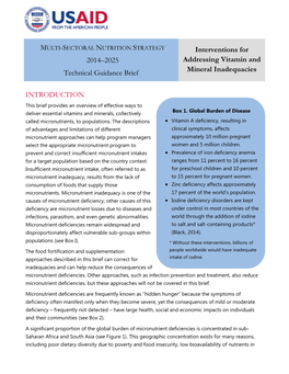 Interventions for Addressing Vitamin and Mineral Inadequacies