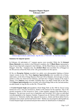 Singapore Raptor Report February 2017