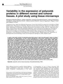 Variability in the Expression of Polycomb Proteins in Different Normal and Tumoral Tissues