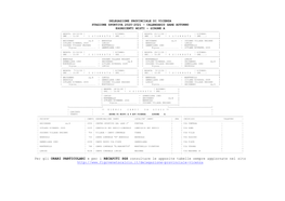 Esordienti Misti – Girone a