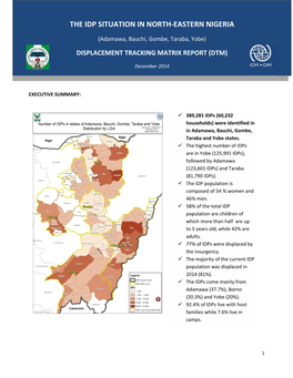 The Idp Situation in North-Eastern Nigeria