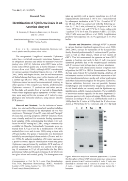 Identification of Xiphinema Index in an Austrian Vineyard