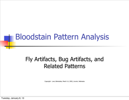 Bloodstain Pattern Analysis: Fly Artifacts