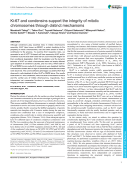 Ki-67 and Condensins Support the Integrity of Mitotic Chromosomes