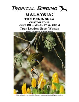 Malaysia: the Peninsula Custom Tour July 29 – August 4, 2014 Tour Leader: Scott Watson Report and Photos by Scott Watson