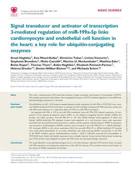 Signal Transducer and Activator of Transcription 3-Mediated Regulation