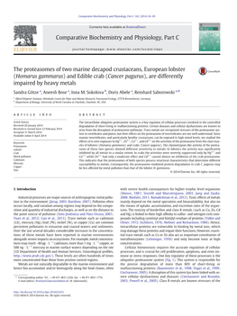 The Proteasomes of Two Marine Decapod Crustaceans, European Lobster (Homarus Gammarus) and Edible Crab (Cancer Pagurus), Are Differently Impaired by Heavy Metals