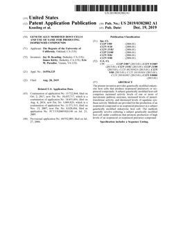 ( 12 ) Patent Application Publication ( 10 ) Pub . No .: US 2019/0382802 A1