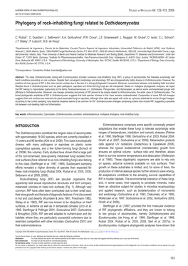 Phylogeny of Rock-Inhabiting Fungi Related to Dothideomycetes