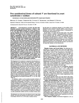 Two Nonidentical Forms of Subunit V Are Functional in Yeast