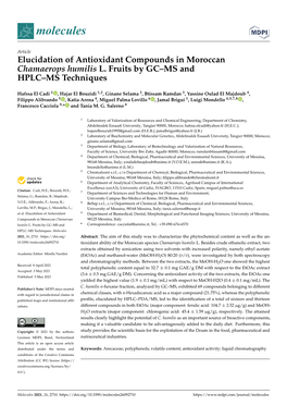 Elucidation of Antioxidant Compounds in Moroccan Chamaerops Humilis L