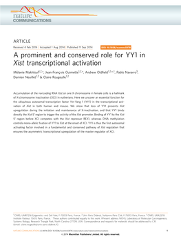 A Prominent and Conserved Role for YY1 in Xist Transcriptional Activation