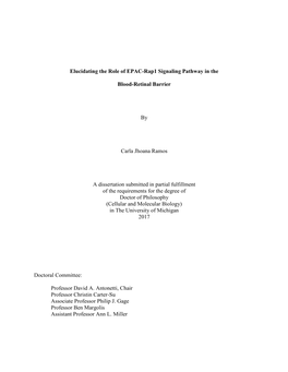 Elucidating the Role of EPAC-Rap1 Signaling Pathway in the Blood