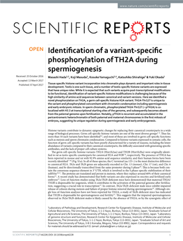 Identification of a Variant-Specific Phosphorylation of TH2A During