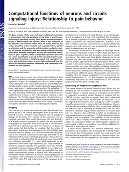 Computational Functions of Neurons and Circuits Signaling Injury: Relationship to Pain Behavior