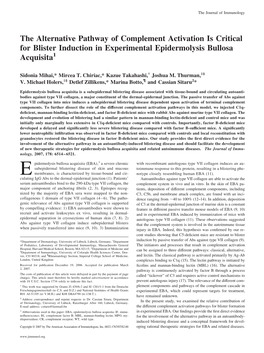 Acquisita Experimental Epidermolysis Bullosa Activation Is Critical for Blister Induction in the Alternative Pathway of Compleme