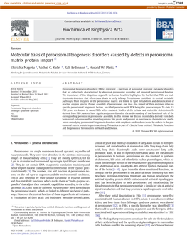 Biochimica Et Biophysica Acta 1822 (2012) 1326–1336