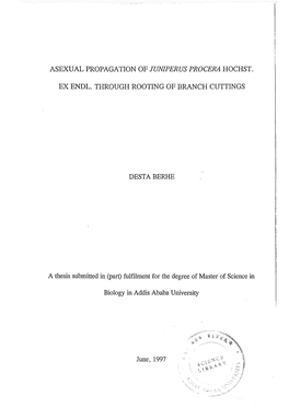 Asexual Propagation of Juniperus Procera Hochst. Ex Endl. Through Rooting of Branch Cuttings