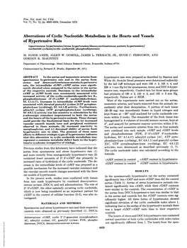 Of Hypertensive Rats