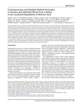 Craniosynostosis and Multiple Skeletal Anomalies in Humans and Zebraﬁsh Result from a Defect in the Localized Degradation of Retinoic Acid